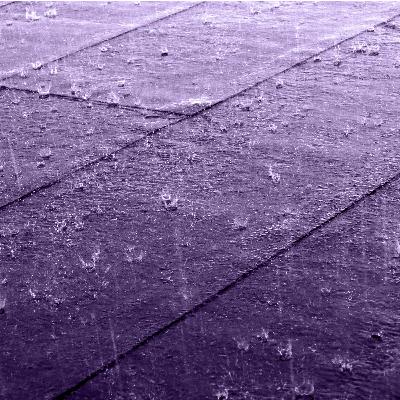 S3 Ep551: Purper, lange tijd de kleur van de elite S3E551 S3 Ep551: Purper, lange tijd de kleur van de elite S3E551