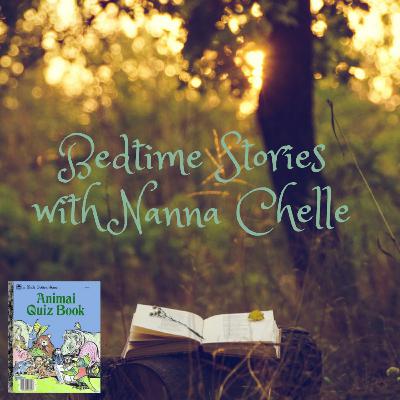 Animal Quiz Book - Bedtime Stories with Nanna Chelle