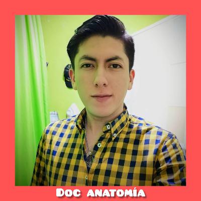 ¡Bienvenida a la nueva modalidad, Doc anatomía!