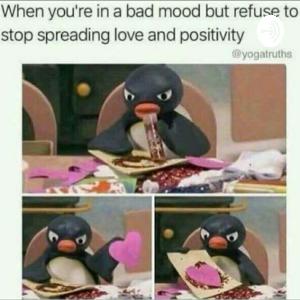 You got a fruend in me