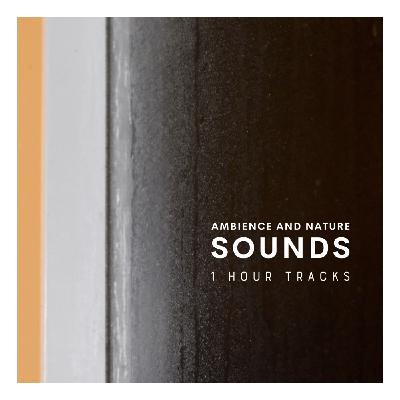 Ambience: Rain on a shed (1 hour) Ambience: Rain on a shed (1 hour)