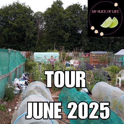 6. Tour around my Allotment Plot for June 2025