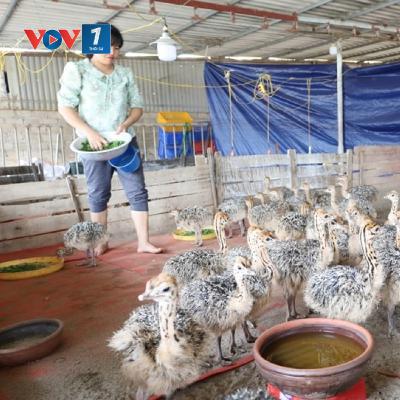 Tiêu điểm - Hà Nội ưu tiên đầu tư phát triển vùng đồng bào dân tộc thiểu số Tiêu điểm - Hà Nội ưu tiên đầu tư phát triển vùng đồng bào dân tộc thiểu số