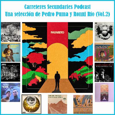 Carreteres Secundaries 141 - Una selección de Pedro Puma y Ronni Río (Vol.2)