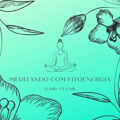 Meditando com Fitoenergia Eucalipto Meditando com Fitoenergia Eucalipto