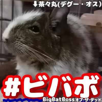 ビバボ2月号（間違えてビバボのデータあげてたけど先行配信ってことにしてそのまま残しとく
