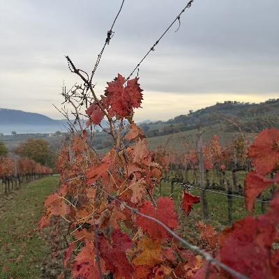 La Dolce Vita: Honest Reflections from an Italian Road Trip La Dolce Vita: Honest Reflections from an Italian Road Trip