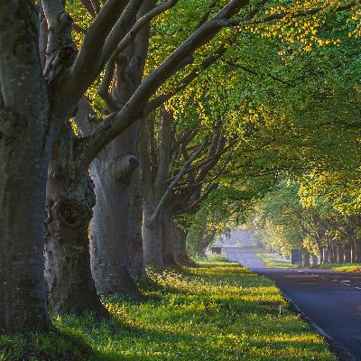 Palavra e Liberdade Palavra e Liberdade