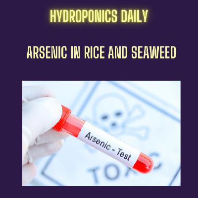 Arsenic on the Menu: Is Your Rice Making You Sick?