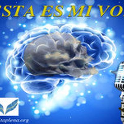 07_EEMV Vida de perro
