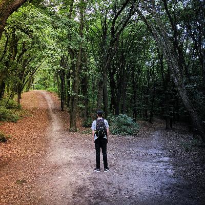 191: Inward and Outward Paths