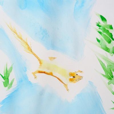 Flying Mouse