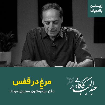 مرغ در قفس | دفتر سوم مثنوی معنوی | مولانا