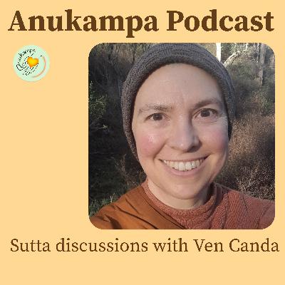 Sutta discussion - From Repulsiveness to Bliss Through Breath Meditation