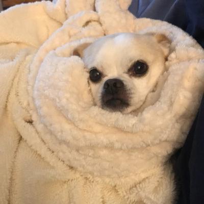 Episode 184: The Heartland Hootenanny October 4, 2025 Hour One