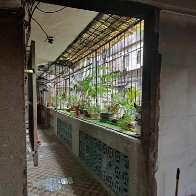 #54 斯文里：Yuki生命土壤中的豬屠口（上）