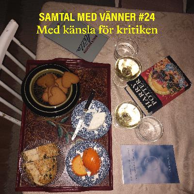 #24 Med känsla för kritiken