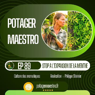 La menthe envahissante : comprendre et stopper sa propagation 🌿