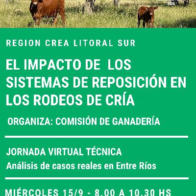 El impacto de los sistemas de reposición en los rodeos de cría