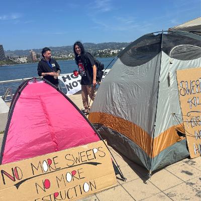 My public body isn't safe -the Settler myth of public safety My public body isn't safe -the Settler myth of public safety