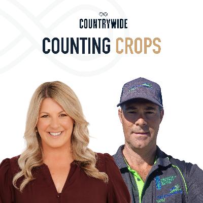 Episode 96 - Counting crops Episode 96 - Counting crops