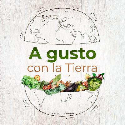 ¿Qué hemos aprendido durante este año sobre la alimentación sostenible?