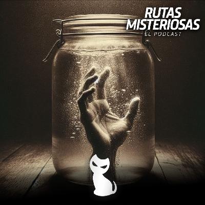 T2•64 El misterio de la mano cortada