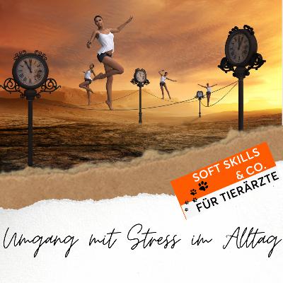 #35 Umgang mit Stress im Alltag