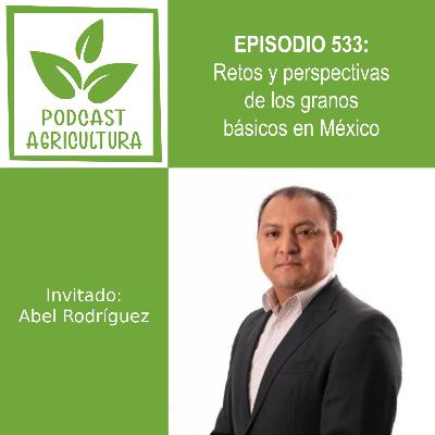 533 Retos y perspectivas de los granos básicos en México con Abel Rodríguez