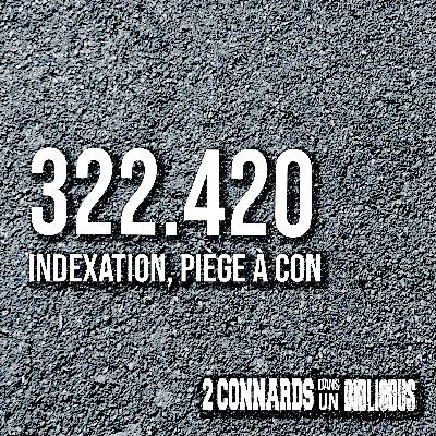 322.420 : indexation, piège à con