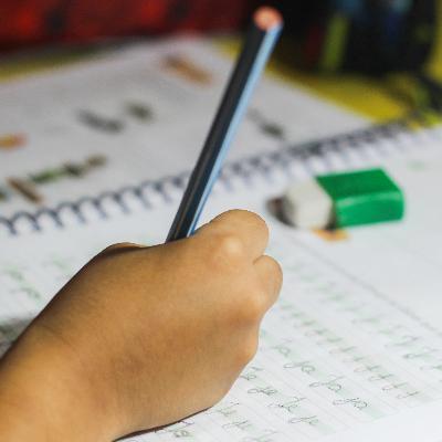S8 Ep31: Does better school management boost test scores?