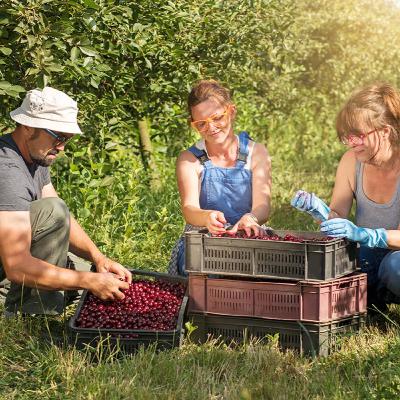 COOPERATIVISMO - TENDÊNCIAS DO RAMO AGRO