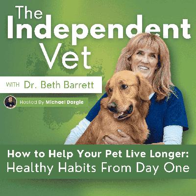 How To Help You Pets Live Longer: Healthy Habits From Day One How To Help You Pets Live Longer: Healthy Habits From Day One