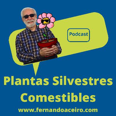 Plantas Silvestres Comestibles
