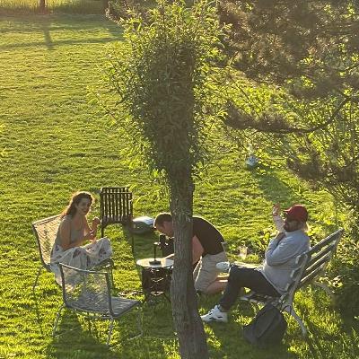 de experts kijken live naar de aflevering!