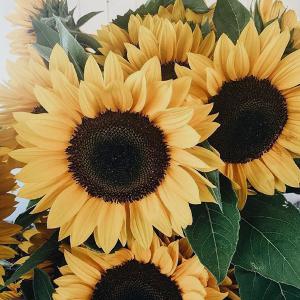 Introduction to Everything Happens For This Reason