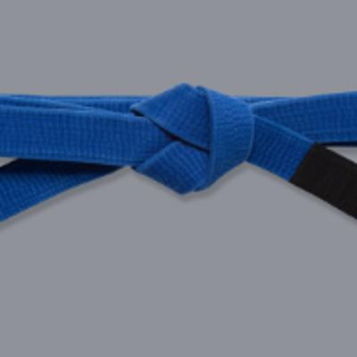 37. The Greek Philosopher Pavlos BJJ 37. The Greek Philosopher Pavlos BJJ