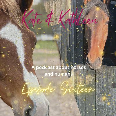 Kate and Kathleen. - Episode 16; Our new horses!