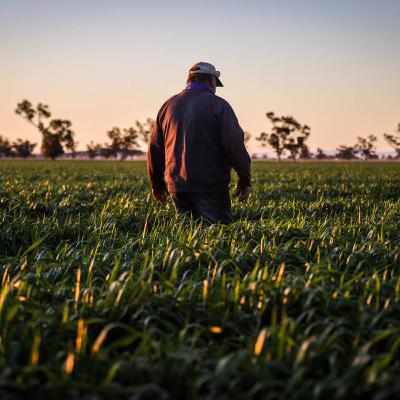 Seasonal conditions behind a plateau in farmland values