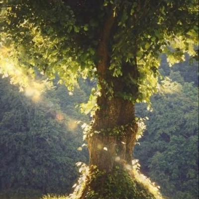 Becoming a friend of Allah (Yasmine Mogahed)