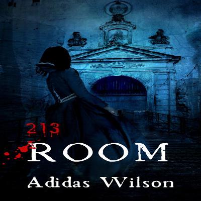 Room 213 - A Mystery