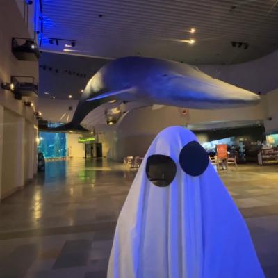 Rewind: Ghost Stories