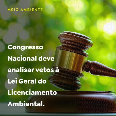 Congresso Nacional deve analisar vetos à Lei Geral do Licenciamento Ambiental