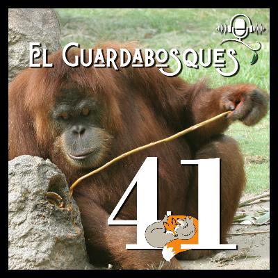 Ep. 41 | Cultura animal