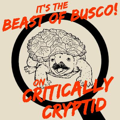 It's The Beast of Busco! It's The Beast of Busco!