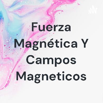Fuerza magnética y campos magneticos