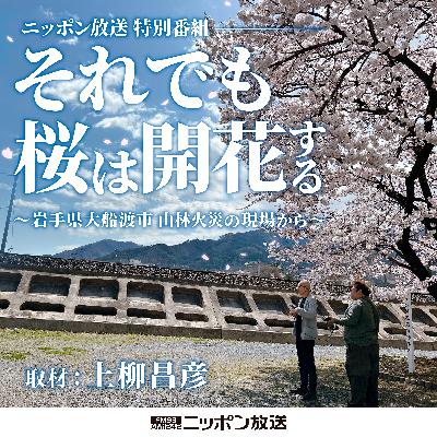 それでも桜は開花する～岩手県大船渡市 山林火災の現場から～