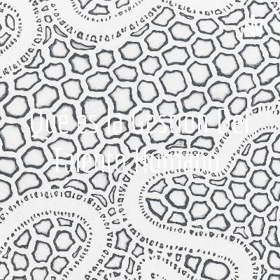 Que es cultura organizacional