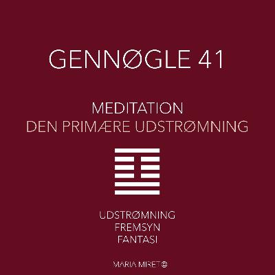 Gennøgle 41 Gennøgle 41
