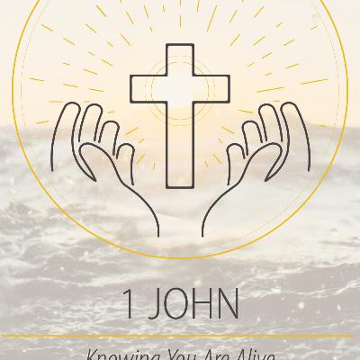 Children of God (1 John 2:28-3:10)